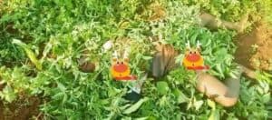 499932694_684806507511473_558653952127603052_n