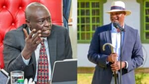 IMG_20250407_204010-1744047731