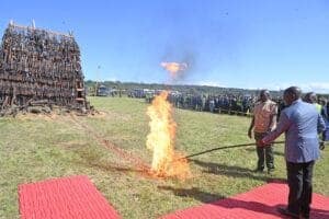 505437228_749289764278947_8529697585823651992_n