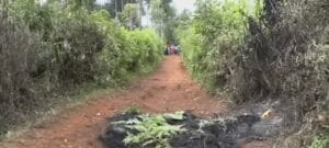 515495141_1311677543944790_8645013537993762431_n