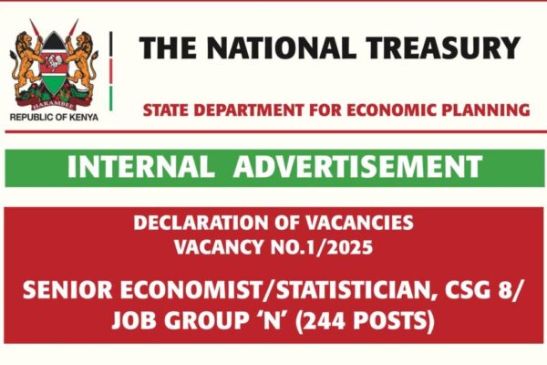 244 Senior Economist/Statistician Vacancies at State Department for Economic Planning – Apply Before July 30, 2025