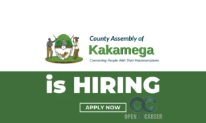 Opened-career-_20250718_164822_0000