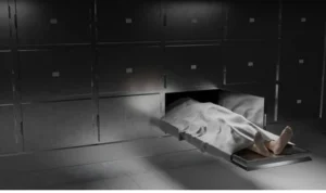 concept-morgue-autopsy-dead-hospital-260nw-2184210817