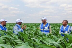 529620628_122130991844855230_4251535067499947560_n