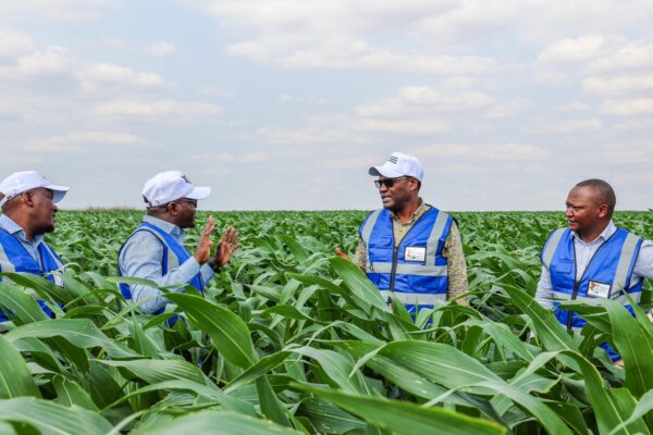 Treasury PS Chris Kiptoo Inspects Galana-Kulalu Food Security Project Progres