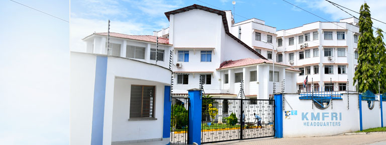 carousel-bg-fff-2031