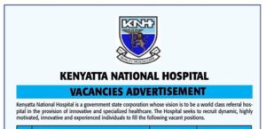 593606247_1214380477925027_5611419800770596736_n