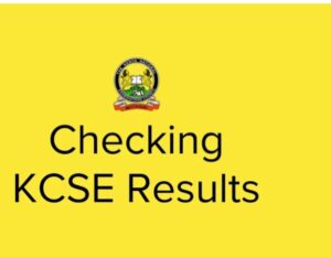 606389674_1241409531384753_1431139886946070696_n