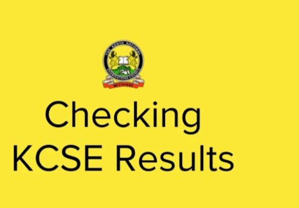 606389674_1241409531384753_1431139886946070696_n