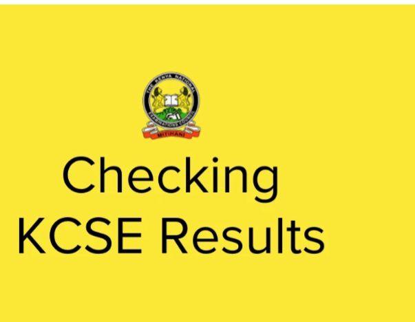 606389674_1241409531384753_1431139886946070696_n